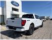 2025 Ford F-150 XLT (Stk: LFFF00655) in Tilbury - Image 3 of 15