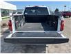 2025 Ford F-150 XLT (Stk: LFFF00655) in Tilbury - Image 5 of 15
