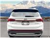 2023 Hyundai Santa Fe HEV Luxury (Stk: AA099441) in Abbotsford - Image 5 of 24