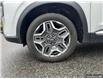 2023 Hyundai Santa Fe HEV Luxury (Stk: AA099441) in Abbotsford - Image 6 of 24