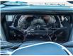 2025 GMC Terrain Elevation (Stk: 17788) in Casselman - Image 18 of 21