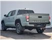 2023 Toyota Tacoma Base (Stk: N3625) in Hamilton - Image 12 of 29