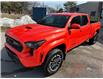 2024 Toyota Tacoma Base (Stk: 15838) in Newmarket - Image 29 of 50