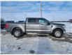 2023 Ford F-150 XLT (Stk: T0068) in Wilkie - Image 13 of 23