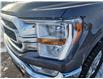 2023 Ford F-150 XLT (Stk: T0068) in Wilkie - Image 22 of 23