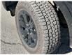 2021 Ford Ranger XLT (Stk: 57B1469) in Penticton - Image 3 of 19