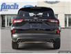 2025 Ford Escape ST-Line (Stk: ESP493) in Sarnia - Image 5 of 26