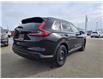 2023 Honda CR-V Sport (Stk: F0591) in Saskatoon - Image 6 of 25