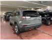 2019 Jeep Cherokee Trailhawk (Stk: T25-52A) in Nipawin - Image 17 of 25