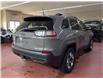 2019 Jeep Cherokee Trailhawk (Stk: T25-52A) in Nipawin - Image 20 of 25