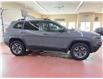2019 Jeep Cherokee Trailhawk (Stk: T25-52A) in Nipawin - Image 21 of 25