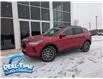 2025 Ford Escape PHEV (Stk: 25047) in Claresholm - Image 1 of 19