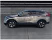 2019 Honda CR-V LX (Stk: U23326A) in Okotoks - Image 5 of 24