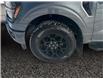 2025 Ford F-150 XLT (Stk: 25T035) in ROCKY MOUNTAIN HOUSE - Image 14 of 15