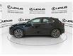 2025 Lexus UX 300h  (Stk: 14109405) in Markham - Image 6 of 15