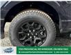 2025 Ford F-150 XLT (Stk: FS59740) in Windsor - Image 2 of 31