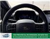 2025 Ford F-150 XLT (Stk: FS59740) in Windsor - Image 24 of 31