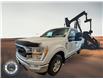 2022 Ford F-150 XLT (Stk: 25DEX007A) in Drayton Valley - Image 4 of 12