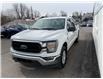 2023 Ford F-150 XLT (Stk: 250240) in North Bay - Image 6 of 20