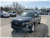 2022 Hyundai Tucson Preferred (Stk: 250256) in Ottawa - Image 6 of 21