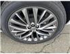 2025 Buick Enclave Avenir (Stk: M1077-25) in Courtenay - Image 3 of 15
