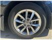 2024 Honda Civic EX (Stk: 27910T) in Newmarket - Image 8 of 12