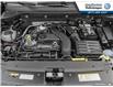 2025 Volkswagen Taos Comfortline Black Edition (Stk: 25TA5504) in Cranbrook - Image 6 of 24