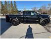 2025 GMC Sierra 1500 Elevation (Stk: 25135) in Green Valley - Image 11 of 14