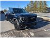 2025 GMC Sierra 1500 Elevation (Stk: 25135) in Green Valley - Image 12 of 14