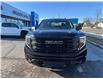 2025 GMC Sierra 1500 Elevation (Stk: 25135) in Green Valley - Image 13 of 14