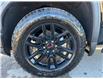 2025 GMC Sierra 1500 Elevation (Stk: 25135) in Green Valley - Image 14 of 14