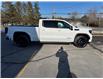 2025 GMC Sierra 1500 Elevation (Stk: 25080) in Green Valley - Image 11 of 14