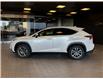 2021 Lexus NX 300 Base (Stk: 25264L) in Toronto - Image 3 of 8