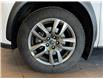 2021 Lexus NX 300 Base (Stk: 25264L) in Toronto - Image 5 of 8