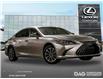 2025 Lexus ES 300h Base (Stk: 25425) in Toronto - Image 1 of 21
