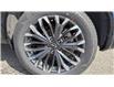 2025 Nissan Rogue Platinum (Stk: CSW470719) in Cobourg - Image 6 of 21