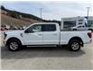 2024 Ford F-150 XLT (Stk: 4T035) in Williams Lake - Image 2 of 13