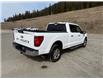 2024 Ford F-150 XLT (Stk: 4T035) in Williams Lake - Image 5 of 13