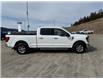 2024 Ford F-150 XLT (Stk: 4T035) in Williams Lake - Image 6 of 13