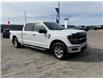 2024 Ford F-150 XLT (Stk: 4T035) in Williams Lake - Image 7 of 13