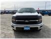2024 Ford F-150 XLT (Stk: 4T035) in Williams Lake - Image 8 of 13