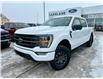 2022 Ford F-150 Tremor (Stk: F82490) in Prince Albert - Image 1 of 15