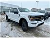 2022 Ford F-150 Tremor (Stk: F82490) in Prince Albert - Image 4 of 15