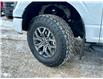 2022 Ford F-150 Tremor (Stk: F82490) in Prince Albert - Image 9 of 15