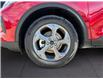 2025 Ford Escape ST-Line (Stk: 12069) in Golden - Image 16 of 17