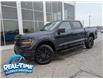 2025 Ford F-150 XLT (Stk: 25101) in Claresholm - Image 1 of 19