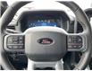 2025 Ford F-150 XLT (Stk: VF1F00615) in Chatham - Image 14 of 22