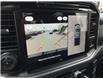 2025 Ford F-150 XLT (Stk: VF1F00615) in Chatham - Image 20 of 22