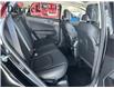 2023 Kia Sportage EX (Stk: 2344530) in Edmonton - Image 24 of 27