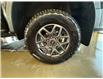 2025 Ford Ranger XLT (Stk: 25DFR001) in Drayton Valley - Image 12 of 12